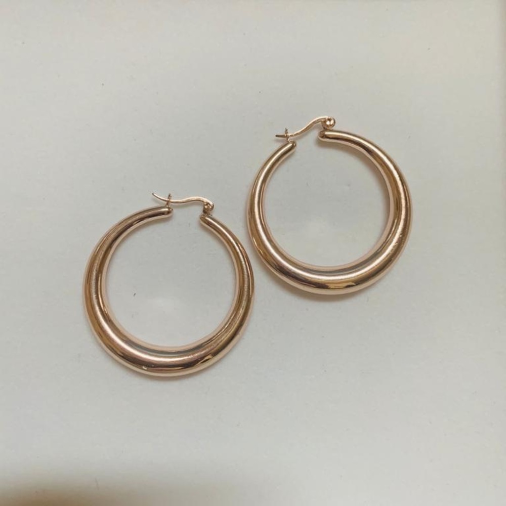Earrings Hoops